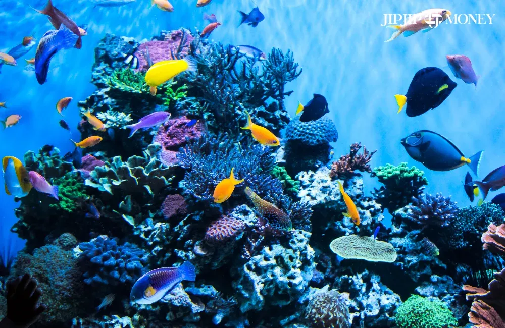 สถานที่เดทกับแฟน